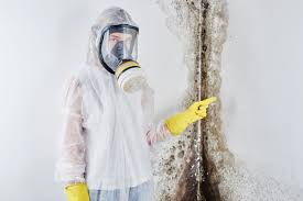 Best Residential Mold Inspection & Testing  in Rockport, IN